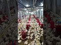 #ec_poultry_farm #ec_farming #lowcostfarming #contractfarming