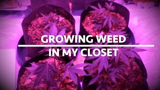 FIRST TIME GROWING WEED IN MY CLOSET!!! How to grow weed indoor CHEAP AF AND EFFECTIVE Want to know how to grow weed indoor? Are you tired of spending all your hard earned money buying weed when you can just