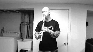 Native American Flute improvisation in F Sharp