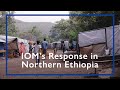 IOM&#39;s Northern Ethiopia Response (16-29 August 2021)