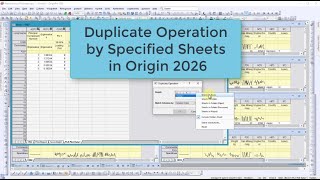Duplicate Operation By Specified Sheets