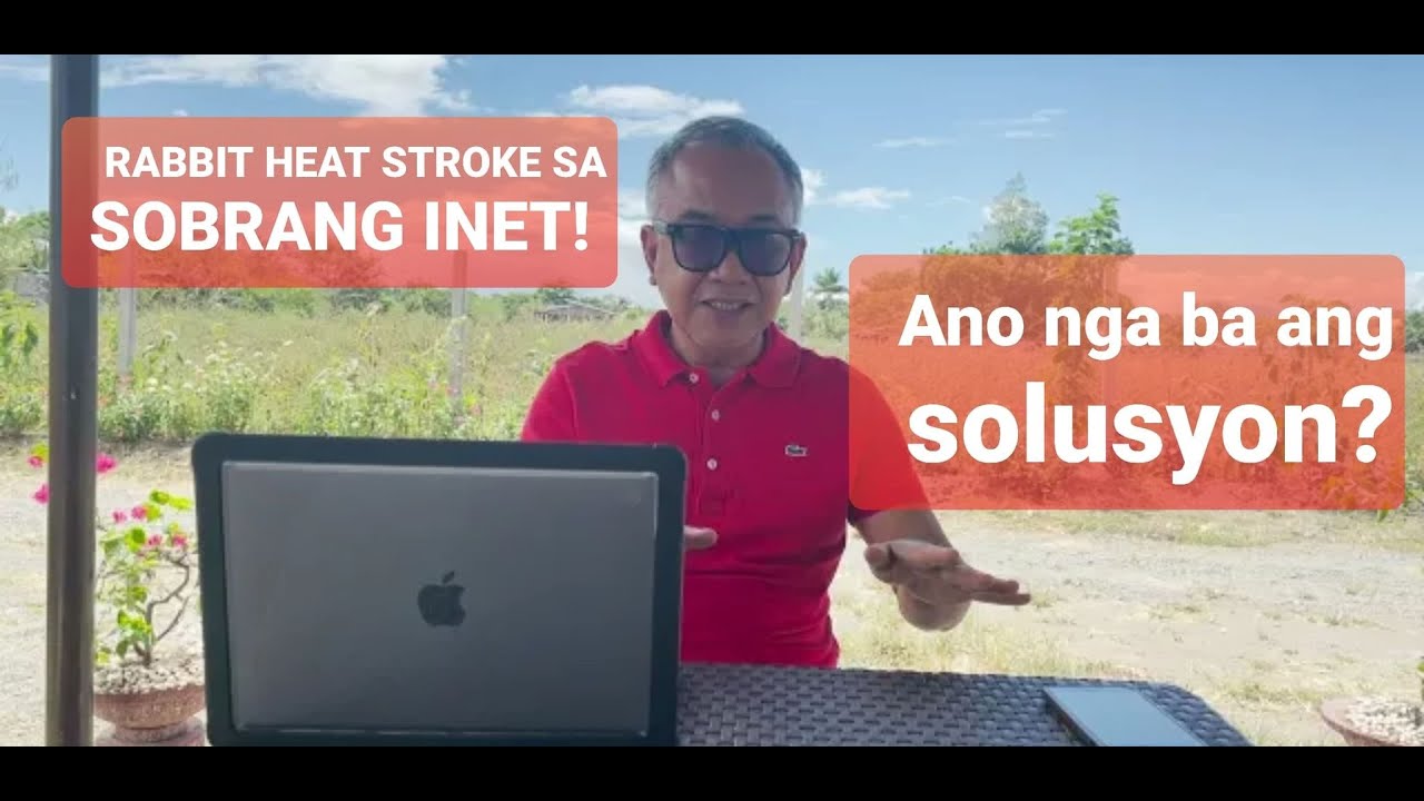 THE VETS TALK - RABBIT HEAT STROKE 
