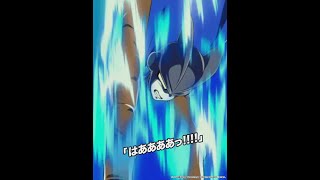 INT LR GAMMA 1 AND GAMMA 2 FULL ANIMATIONS! | Dragon Ball Z Dokkan Battle