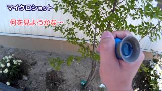 【誠文社】マイクロショット