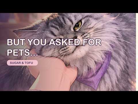 Why Your Cat Bites You While You're Petting Them