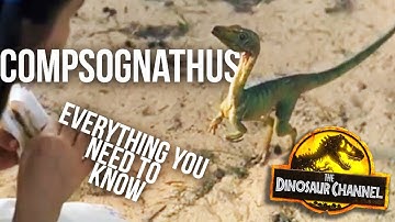 What Was The Compsognathus?  - The Dinosaur Channel