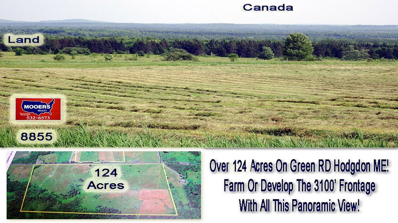 Maine Land, 124 Acres To Farm Westford Hill Hodgdon ME MOOERS REALTY