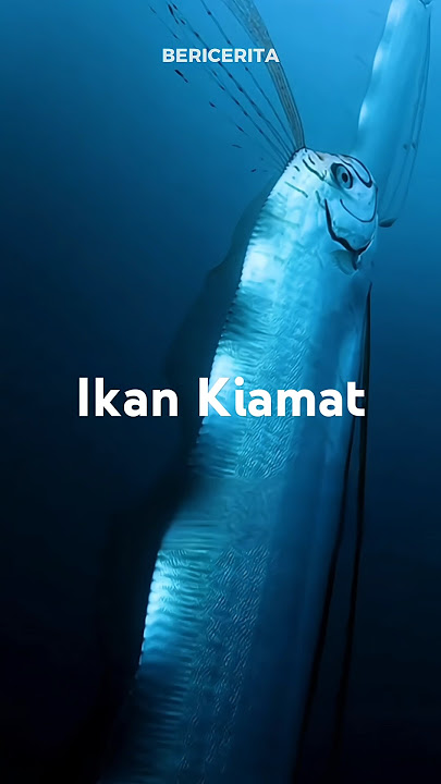 Oarfish, ikan laut misterius! Kemunculannya di permukaan sering dikaitkan dengan pertanda alam.