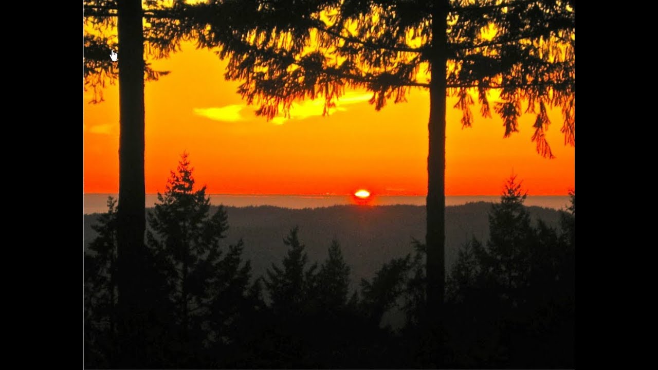 Land For Sale in the Redwoods With Valley View! Close to Golf Course! 2