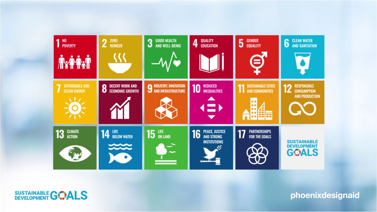 SDGs Mug – UNDP Shop