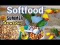 Mix softfood of budgieslove birdscockatiel for summer season garmiyo ka bheega dana