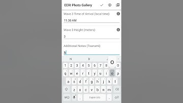 Detailed Tsunami Form Walkthrough