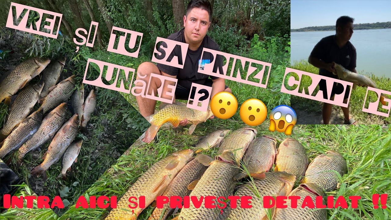 😱😮FINETEA FACE DIFERENTA😉😁!!CUM SA PRINZI CRAP PE DUNARE ! 4 ZILE pe DUNARE in cautarea CRAPILOR