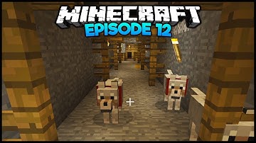 Minecraft: Exploring The Abandoned Mineshaft - Episode 12 (Survival Let