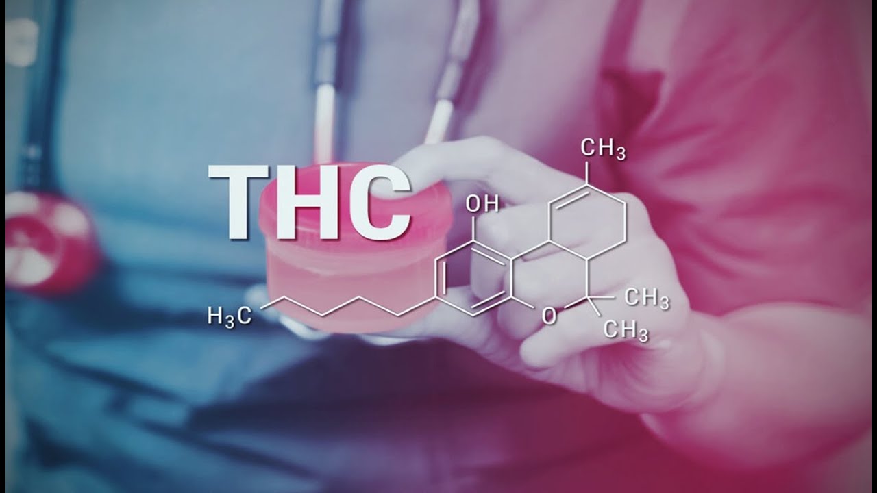 COMO AYUDAR A ELIMINAR EL THC DEL CUERPO | BEBIDAS DETOX