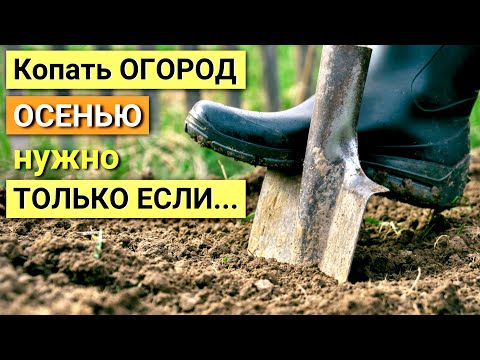 А стоит ли