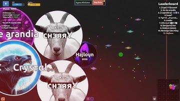 Agma.io 125 BOTS | Instant Server SPONSORED