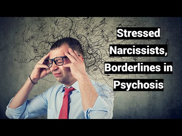 Video thumbnail — Stressed Narcissists, Borderlines in Psychosis: Brief, Acute, Transient, Reactive (ATPD, BP)