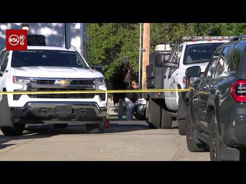 1 adult, 3 children dead in Riverdale house fire