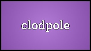 Clodpole Meaning
