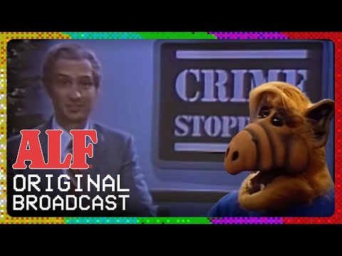 SJ SPECIAL ☆ MEET THE ALFEE SJ SPECIAL ☆ MEET THE ALFEE MEET THE ALFEE - YouTube