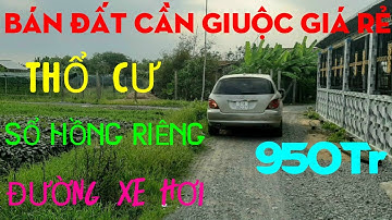 (Ms 01♥️Đã Bán) Bán Đất Cần Giuộc Giá Rẻ | 4 × 24 | Giá 950Tr | Bđs Long An