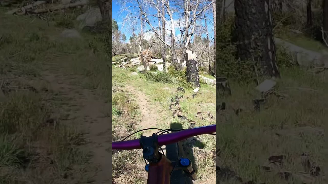 Idyllwild The Hub | Log Ride