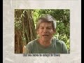 1   guillermo arevalo valera   shamanism   other worlds   ayahuasca documentary bonus   youtube 360p
