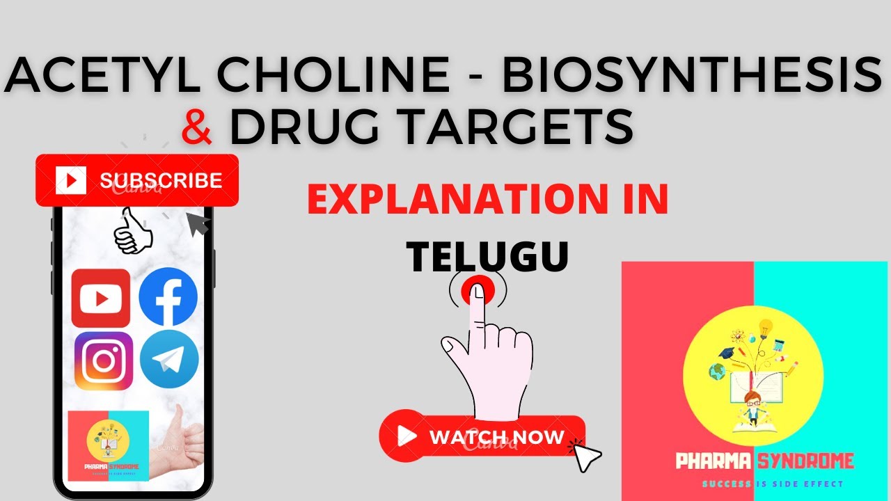ACETYL CHOLINE BIOSYNTHESIS I EXPLANATION TELUGU I GPAT 2022 NIPER