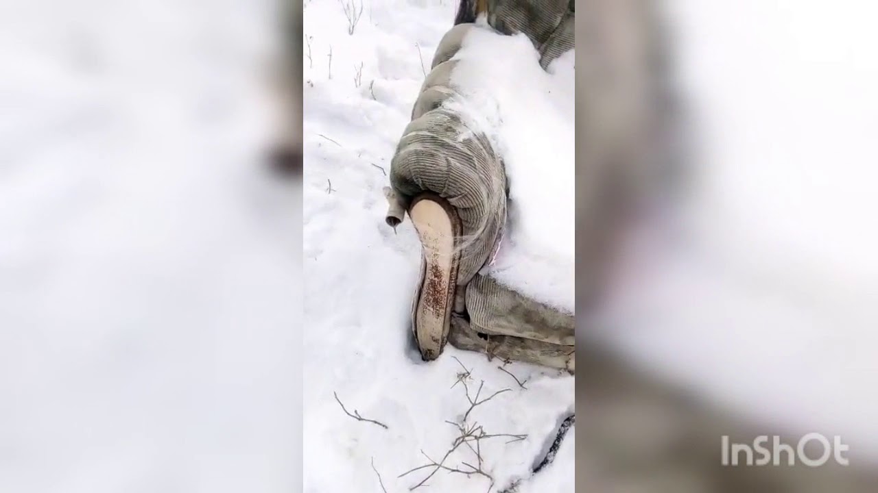 Ламерский динамон