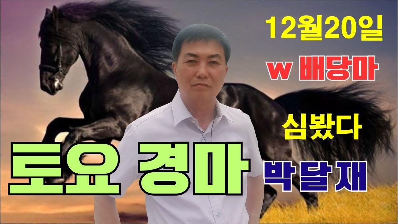 12월20일 토요경마 서울경마 제주경마 경주분석 추천마번 예상방송 박달재