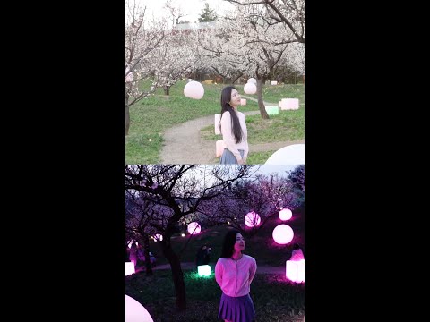 요건 몰랐지?🤭 숨겨진 야경맛집🌸 | 에버랜드 #하늘정원길