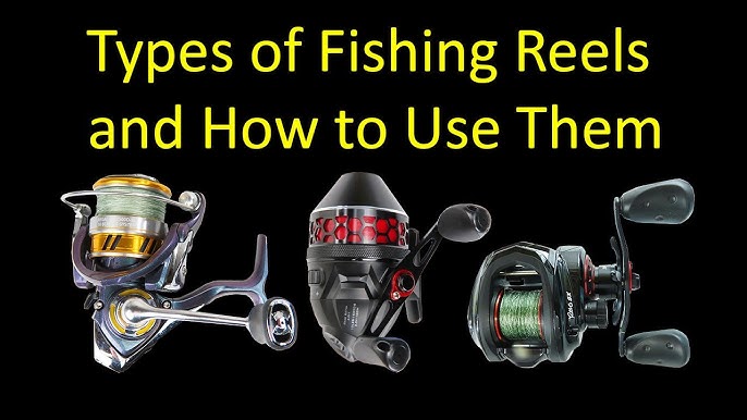 Baitcaster vs Spinning reel -How to pick your fishing reel! 