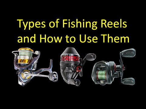 3 Types of Fishing Reels and How to Use Them - Spinning vs. Spincast vs.  Baitcasting 