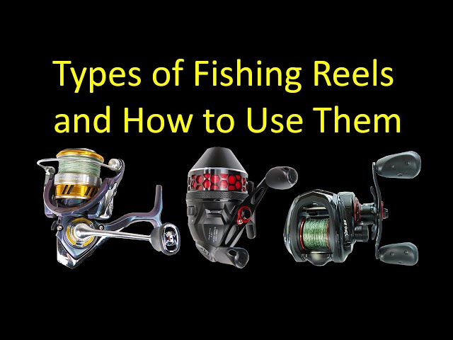 Fishing Reels