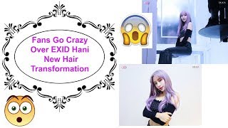 Fans Go Crazy Over EXID Hani Hair Transformation