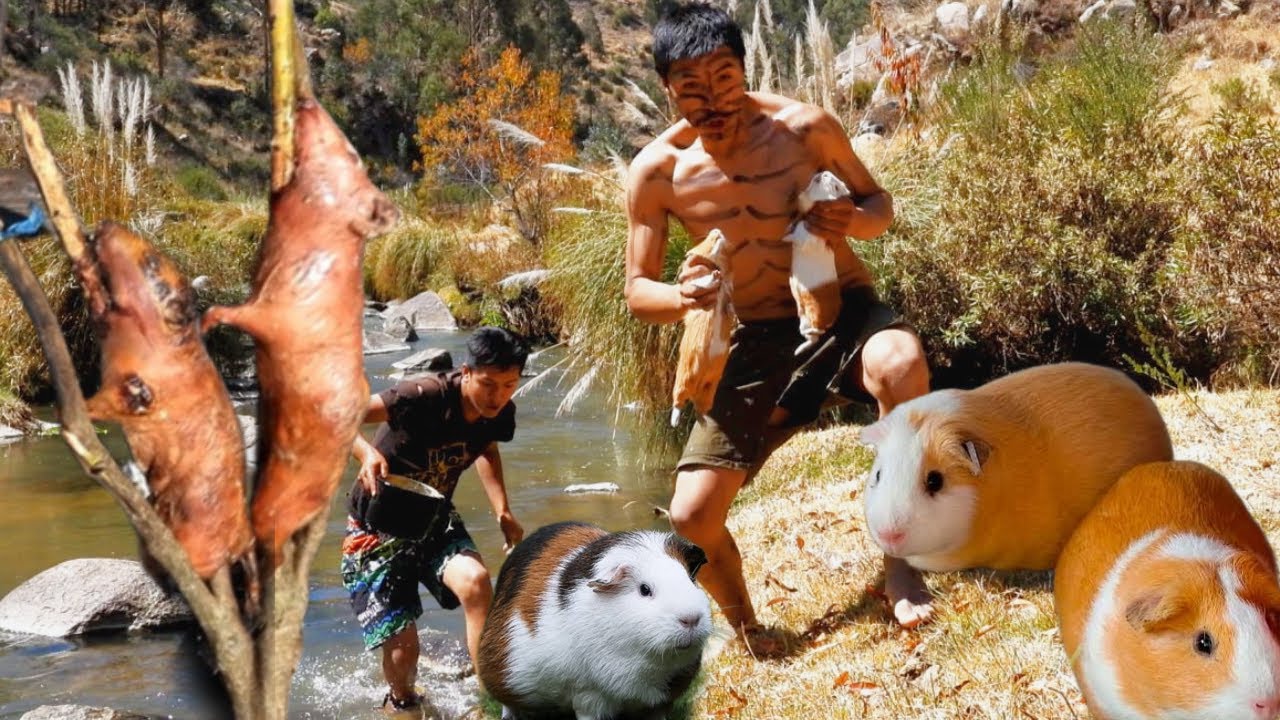 Gallery Detail: Experiencia Extrema Prepare Cuy Al Palo I Prepared Guinea Pig