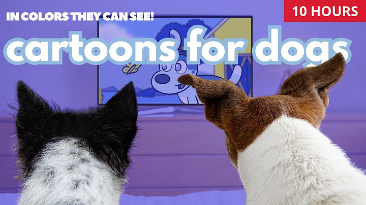 Bluey: Animated Cartoon for Dogs! Colors they can see - 10 Hours of fun and relax for dogs