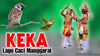 Download Lagu LAGU MANGGARAI TERBARU || Voc. Sever Radung...✓ MP3