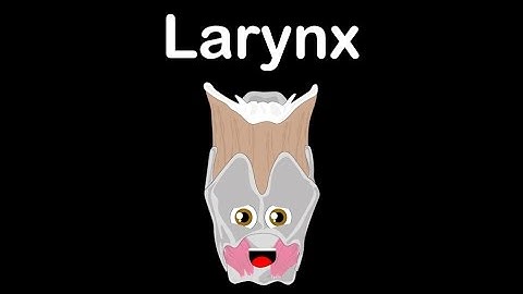 Human Body /Larynx Anatomy Song /Human Body Systems