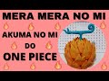 MERA MERA NO MI AKUMA NO MI DO ONE PIECE - Fernanda Fernandes