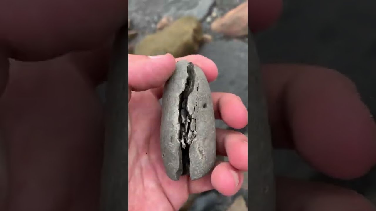 Cracking Open An Incredible Lobster Fossil