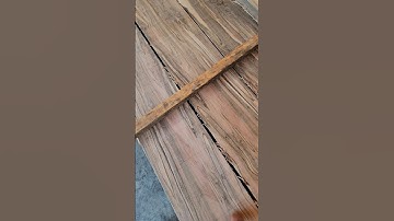 Sawing Spalted/Ambrosia Maple with our Woodmizer LT70.