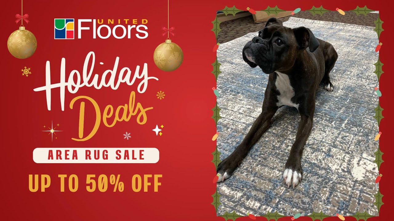 31 Days of Stunning Rugs 🎄 This December, United Floors invites you to ...