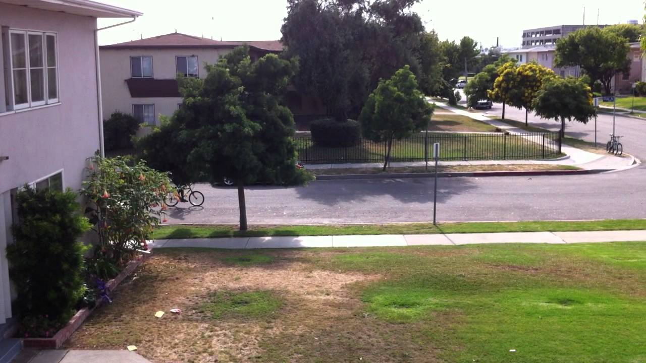 Ghetto Drift Jack ass style