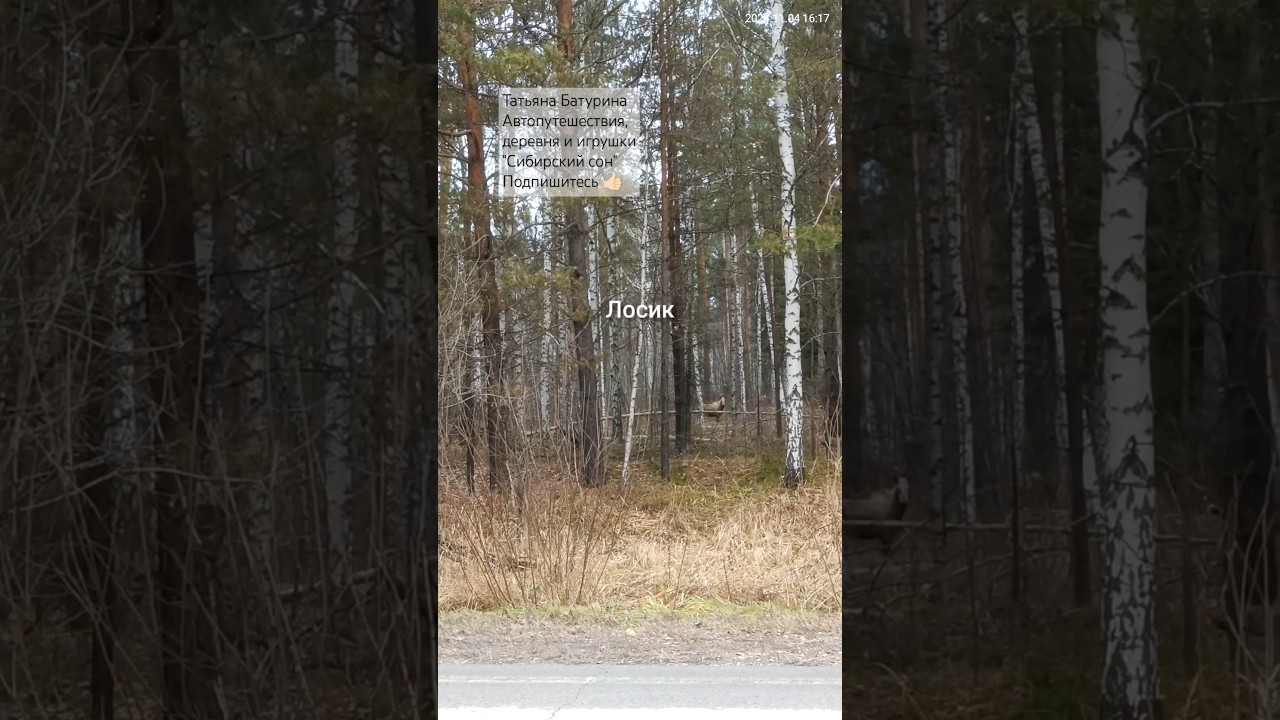 Какая удача! 