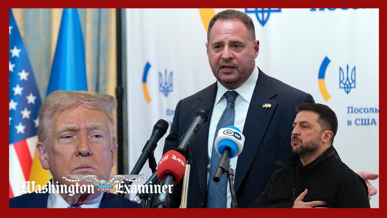 Трамп заявил, что коррупционный скандал вокруг Зеленского «не способствует» мирным усилиям