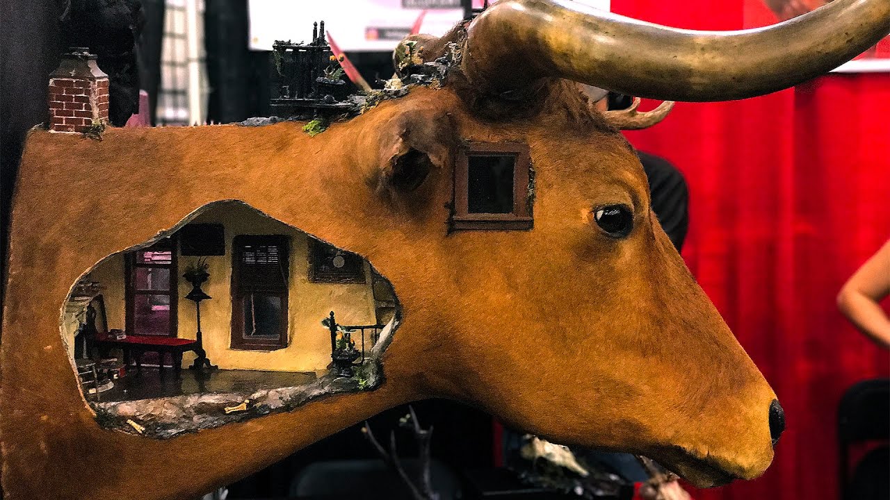 The Taxidermy Diorama Art of Brooke Weston YouTube