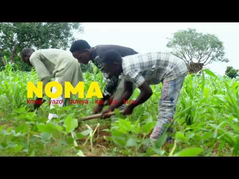 NOMA Tushe Arziki