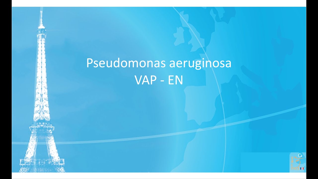 SRLF 2014 - Nosocomial infections in daily life - J. CHASTRE